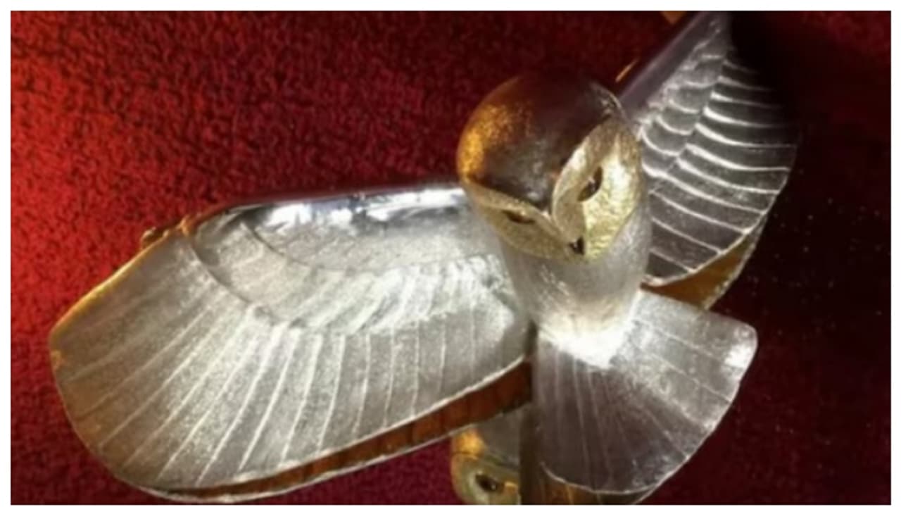 31 വർഷം നീണ്ട ലോകത്തിലെ ഏറ്റവും ദൈർഘ്യമേറിയ നിധി വേട്ട; ഒടുവിൽ ഫ്രാൻസിലെ 'സ്വർണ്ണ മൂങ്ങ'യെ കണ്ടെത്തി 