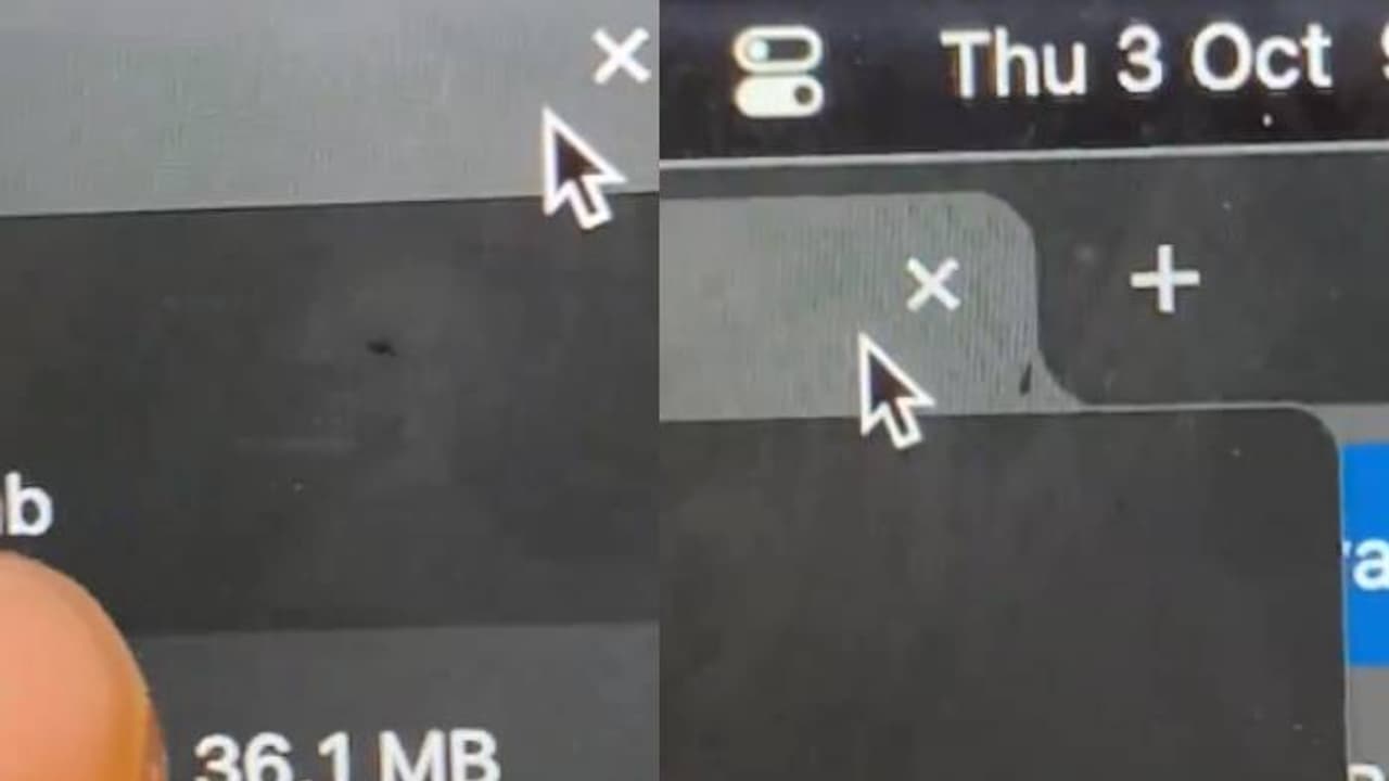 ലാപ്ടോപ്പ് സ്ക്രീനിൽ പാഞ്ഞുനടക്കുന്ന ഉറുമ്പ്, വീഡിയോ വൈറൽ, സൂക്ഷിച്ചോ എന്ന് കമന്റ്