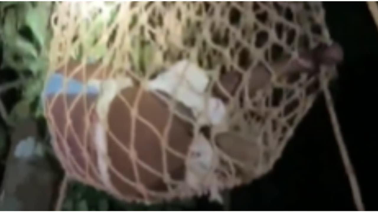 രാത്രിയില് 50 അടി ഉയരമുള്ള പ്ലാവില് വലിഞ്ഞുകയറിയ ശേഷം ആത്മഹത്യാ ഭീഷണി; യുവാവിനെ താഴെയിറക്കി അഗ്നിരക്ഷാ സേന രാത്രിയില് 50 അടി ഉയരമുള്ള പ്ലാവില് വലിഞ്ഞുകയറിയ ശേഷം ആത്മഹത്യാ ഭീഷണി; യുവാവിനെ താഴെയിറക്കി അഗ്നിരക്ഷാ സേന