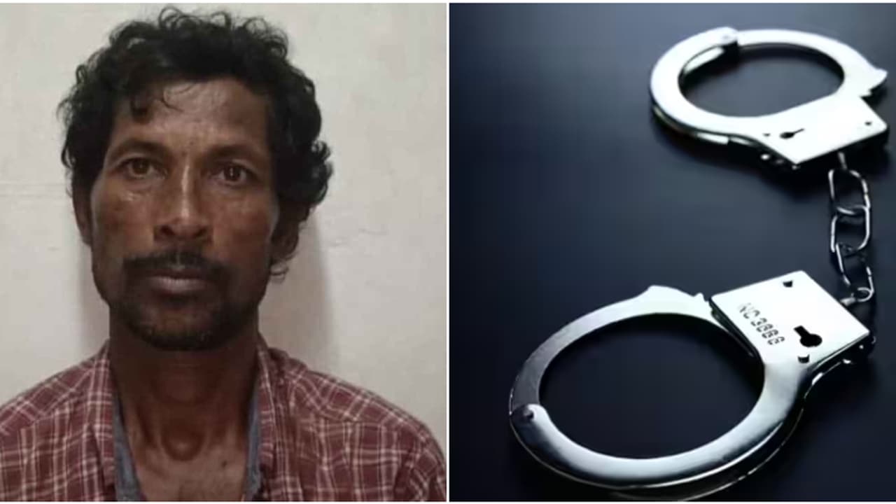 ചിപ്‌സ് വാങ്ങിത്തരാമെന്ന് പറഞ്ഞ് പീഡിപ്പിച്ചത് അഞ്ച് വയസുകാരിയെ; മലപ്പുറത്ത് 53കാരൻ പിടിയിൽ