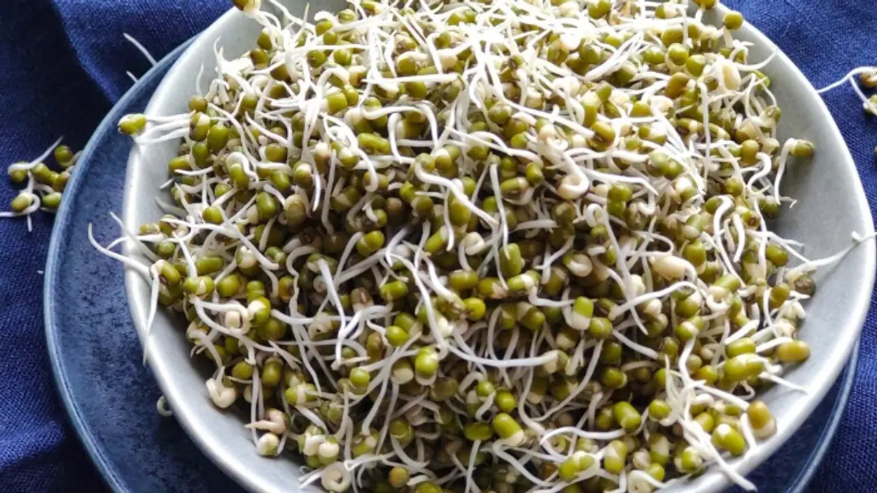 രാവിലെ മുളപ്പിച്ച പയർ കഴിക്കൂ; അറിയാം ഗുണങ്ങള്‍