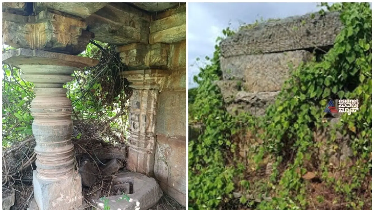 ಗಿಡಗಂಟಿಗಳಿಂದ ಮುಚ್ಚಿ ಹೋದ ಹೊಯ್ಸಳರ ಕಾಲದ ಕರಗುಂದದ ಜೈನ ಬಸದಿ! ಗಿಡಗಂಟಿಗಳಿಂದ ಮುಚ್ಚಿ ಹೋದ ಹೊಯ್ಸಳರ ಕಾಲದ ಕರಗುಂದದ ಜೈನ ಬಸದಿ!