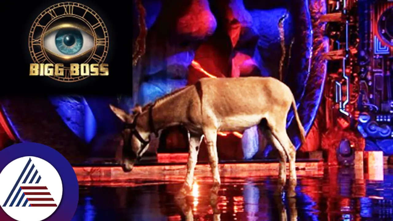 ಬಿಗ್​ಬಾಸ್​​ ಸ್ಪರ್ಧಿಯಾಗಿ ಕತ್ತೆ? ಎರಡು ಕಾಲಿಂದಲ್ಲ ಸ್ವಾಮಿ, ನಿಜವಾಗ್ಲೂ ನಾಲ್ಕು ಕಾಲಿಂದೇ...ವಿಡಿಯೋ ರಿಲೀಸ್​!