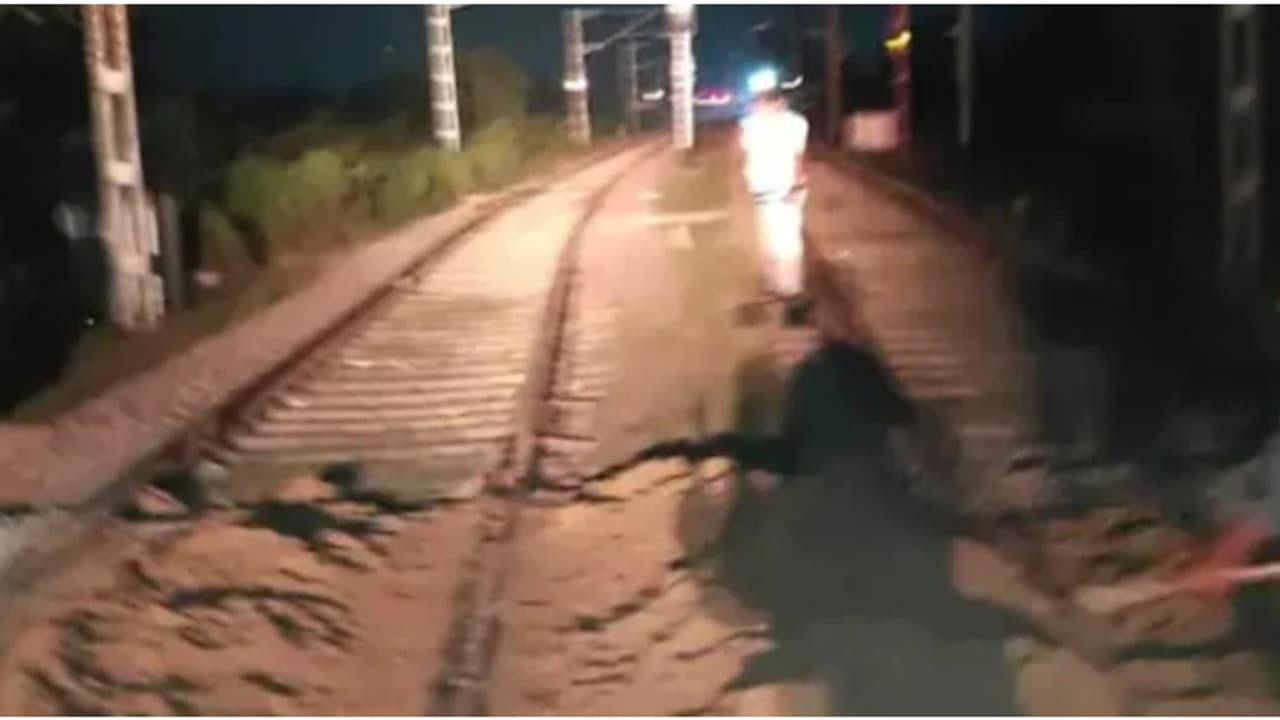 ലോക്കോ പൈലറ്റ് ആ കാഴ്ച കണ്ട് ആദ്യമൊന്ന് ഞെട്ടി, ഒട്ടും പതറാതെ ട്രെയിൻ നിർത്തി; റെയിൽ ട്രാക്കിൽ കണ്ടത് മൺകൂന