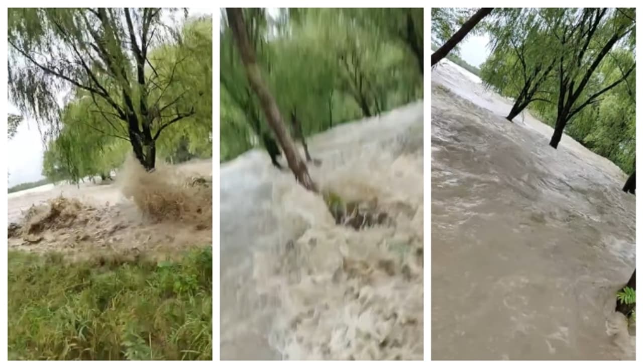 നിന്ന നിൽപ്പിൽ വെള്ളം കയറി മുങ്ങിപ്പോകുന്ന കര, മരത്തിന് മുകളിലേക്ക് ചാടിക്കയറി യുവാവ്; വീഡിയോ വൈറൽ നിന്ന നിൽപ്പിൽ വെള്ളം കയറി മുങ്ങിപ്പോകുന്ന കര, മരത്തിന് മുകളിലേക്ക് ചാടിക്കയറി യുവാവ്; വീഡിയോ വൈറൽ