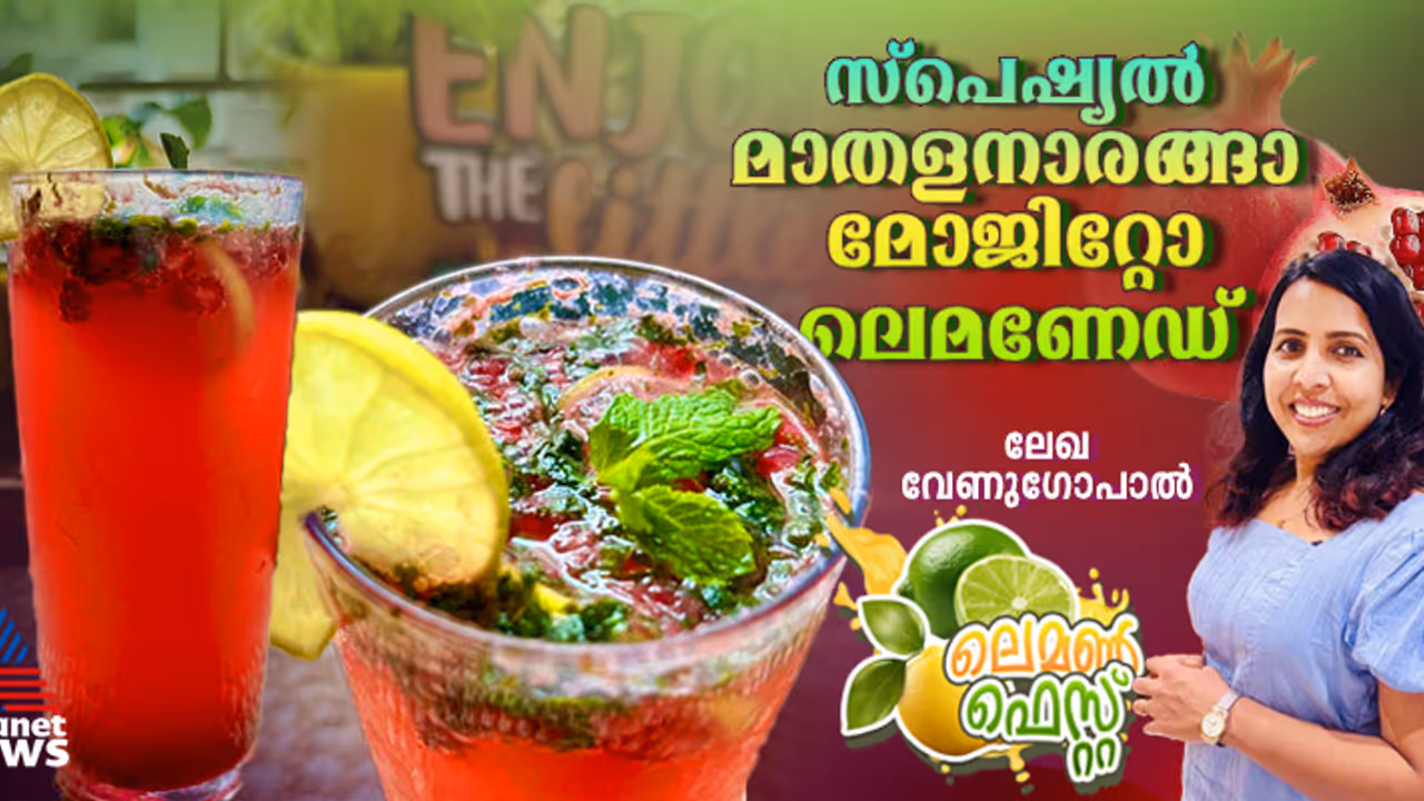 ഹെല്‍ത്തി മാതളനാരങ്ങാ മോജിറ്റോ ലെമണേഡ് തയ്യാറാക്കാം; റെസിപ്പി