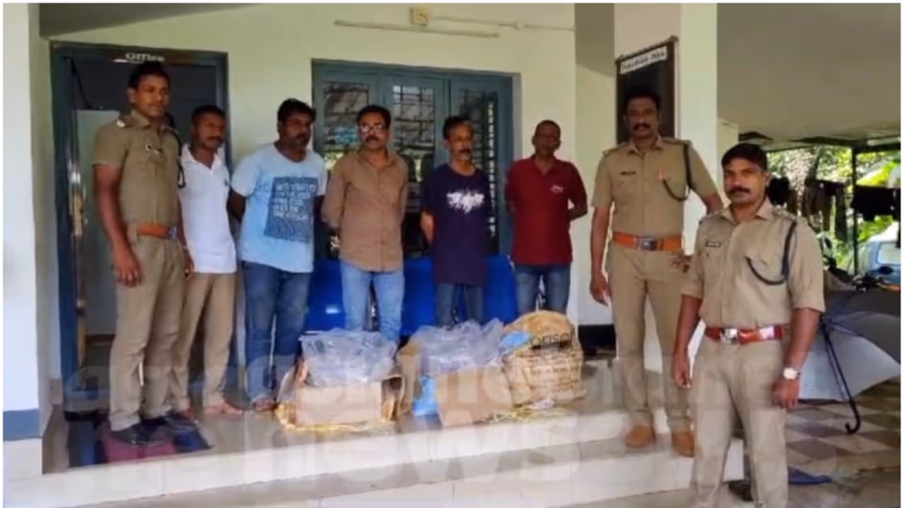 വാടക വീട് കേന്ദ്രീകരിച്ച് കടൽവെള്ളരി കച്ചവടം; 103 കിലോയ്ക്ക് വിപണിയിൽ വില അരക്കോടി, നാലംഗ സംഘം പിടിയിൽ വാടക വീട് കേന്ദ്രീകരിച്ച് കടൽവെള്ളരി കച്ചവടം; 103 കിലോയ്ക്ക് വിപണിയിൽ വില അരക്കോടി, നാലംഗ സംഘം പിടിയിൽ