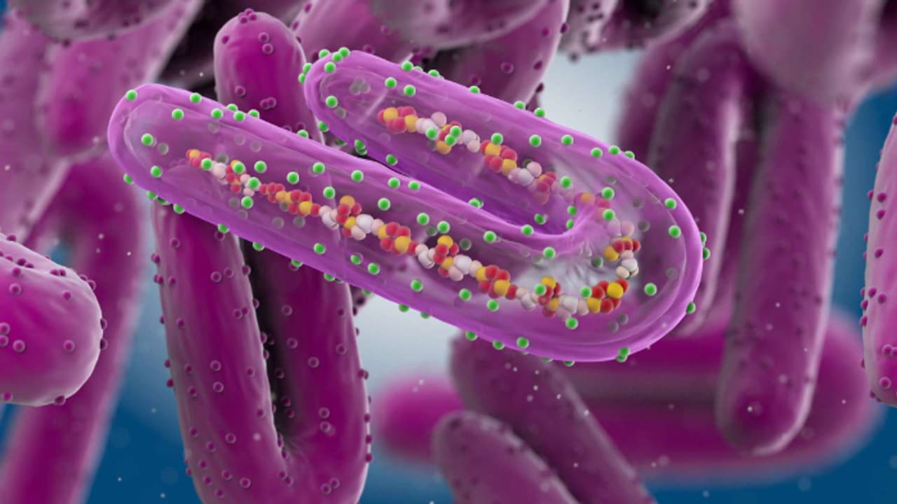 കടുത്ത പനി, തലവേദന, പേശിവേദന, കണ്ണുകൾ കുഴിഞ്ഞിരിക്കുക, ക്ഷീണം; ഈ ലക്ഷണങ്ങള്‍ മാര്‍ബര്‍ഗ് വൈറസിന്‍റെയാകാം