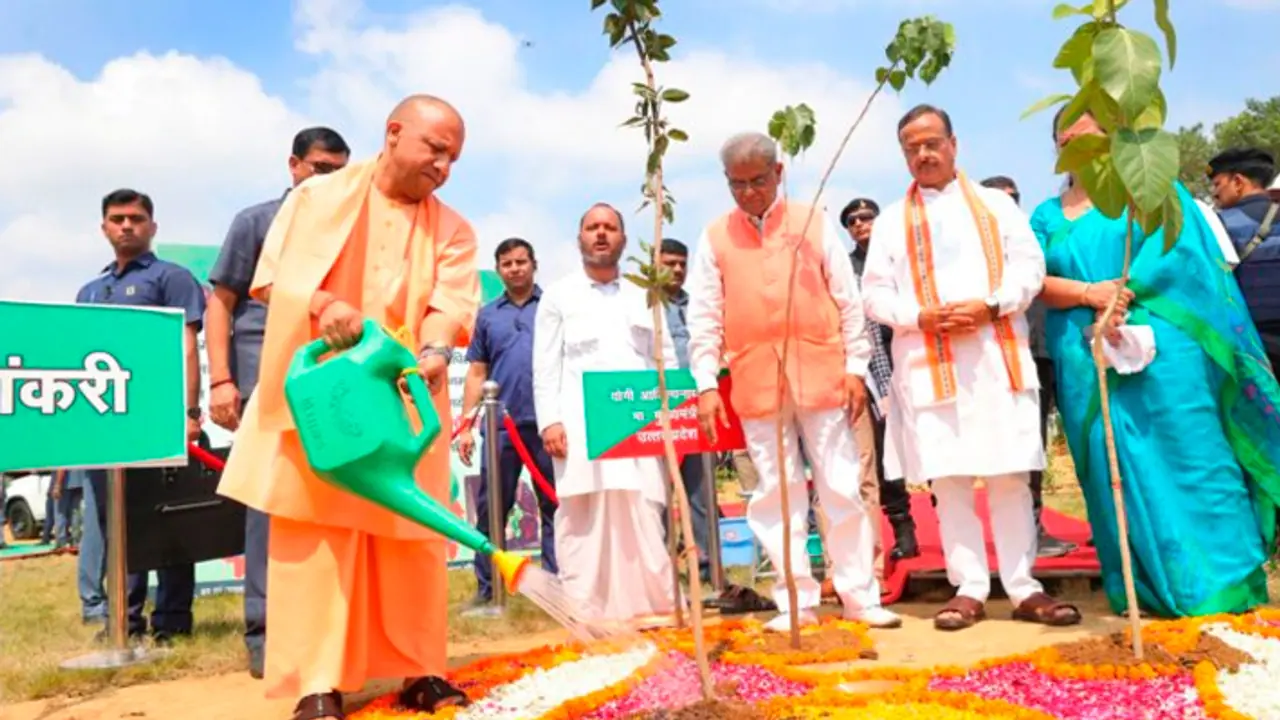 UP govt launches 'Ped Bachao' campaign to protect saplings UP govt launches 'Ped Bachao' campaign to protect saplings