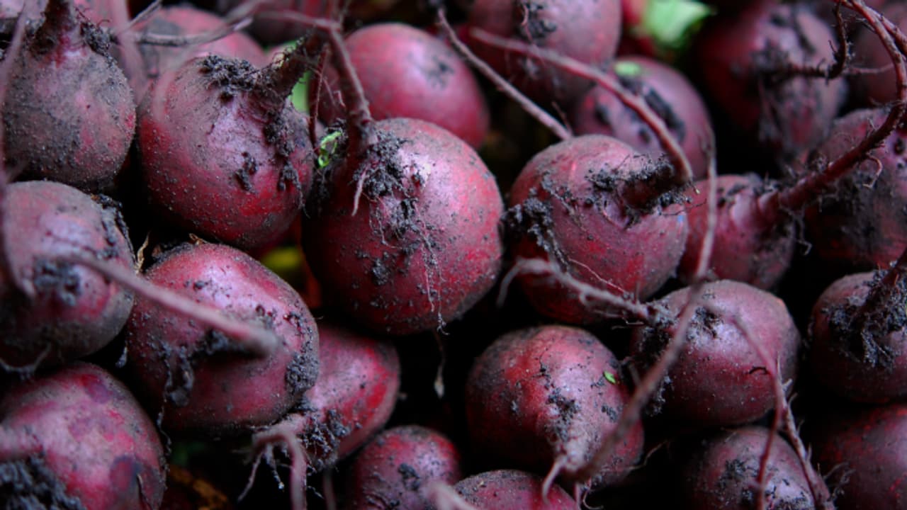 ബീറ്റ്റൂട്ടിനെക്കാള്‍ അയേണ്‍ അടങ്ങിയ അഞ്ച് ഭക്ഷണങ്ങള്‍