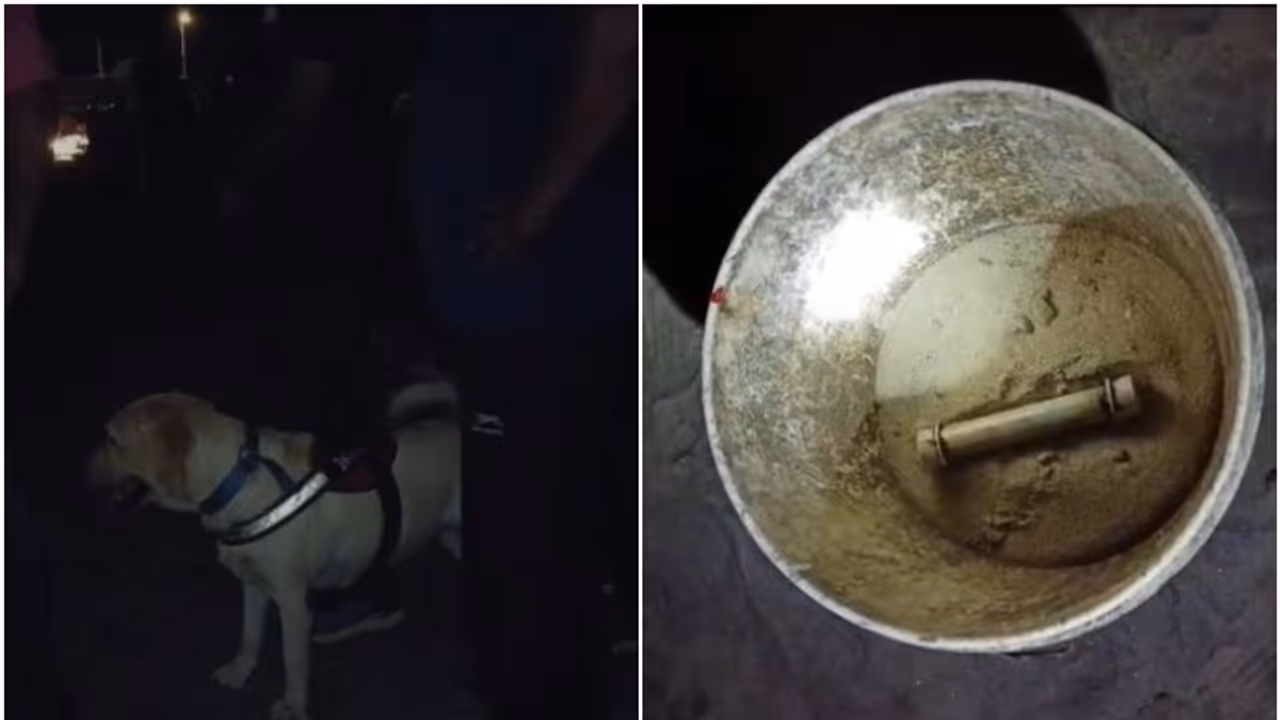 ആലപ്പുഴ ബീച്ചിൽ പൈപ്പ് ബോംബ് പോലുള്ള സാമഗ്രി കണ്ടെത്തി; പൊലീസും ബോംബ് സ്ക്വാഡും സ്ഥലത്തെത്തി, പരിശോധന ആലപ്പുഴ ബീച്ചിൽ പൈപ്പ് ബോംബ് പോലുള്ള സാമഗ്രി കണ്ടെത്തി; പൊലീസും ബോംബ് സ്ക്വാഡും സ്ഥലത്തെത്തി, പരിശോധന