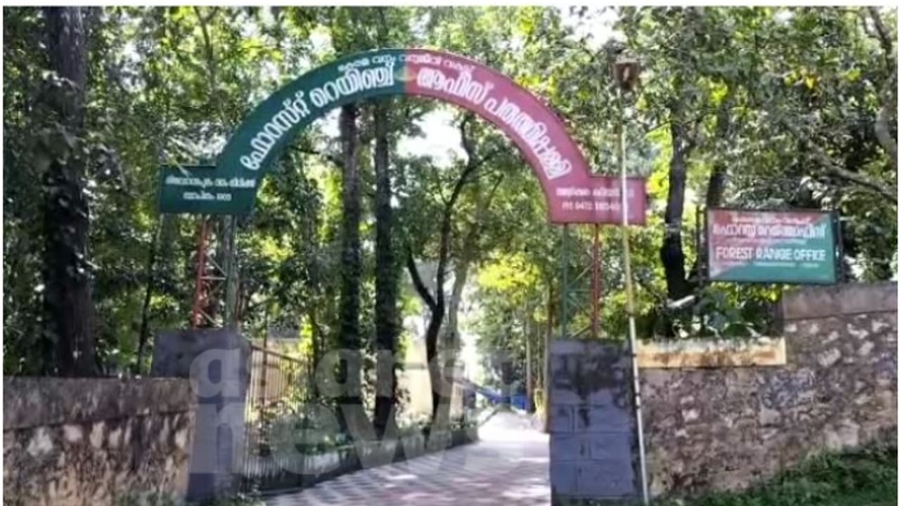 വനം വകുപ്പ് ഓഫീസിൽ കസേര കളി; സസ്പെന്ഷനിലായിരുന്ന ഉദ്യോഗസ്ഥന് അതിക്രമിച്ചെത്തി കസേരയിൽ കയറിയിരുന്നു വനം വകുപ്പ് ഓഫീസിൽ കസേര കളി; സസ്പെന്ഷനിലായിരുന്ന ഉദ്യോഗസ്ഥന് അതിക്രമിച്ചെത്തി കസേരയിൽ കയറിയിരുന്നു