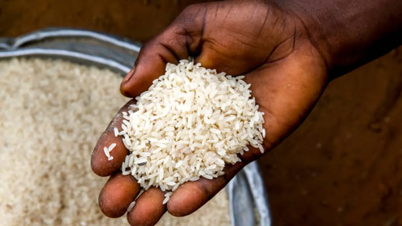 ಕೊಪ್ಪಳ: ಭತ್ತದ ಬೆಲೆ ಬಿದ್ರೂ ಅಕ್ಕಿ ಮಾಡಿಸಿ ರೈತರು ಗೆದ್ದರು! ಕೊಪ್ಪಳ: ಭತ್ತದ ಬೆಲೆ ಬಿದ್ರೂ ಅಕ್ಕಿ ಮಾಡಿಸಿ ರೈತರು ಗೆದ್ದರು!