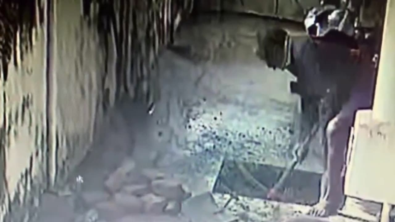 രോഗം, ദുരിതം, ദിവ്യദൃഷ്ടിയിൽ വീട്ടുമുറ്റത്ത് കണ്ടെത്തുന്ന ഏലസുകളും, നാഗരൂപങ്ങളും; സിദ്ധന്റെ വിദ്യ സിസിടിവിയിൽ രോഗം, ദുരിതം, ദിവ്യദൃഷ്ടിയിൽ വീട്ടുമുറ്റത്ത് കണ്ടെത്തുന്ന ഏലസുകളും, നാഗരൂപങ്ങളും; സിദ്ധന്റെ വിദ്യ സിസിടിവിയിൽ