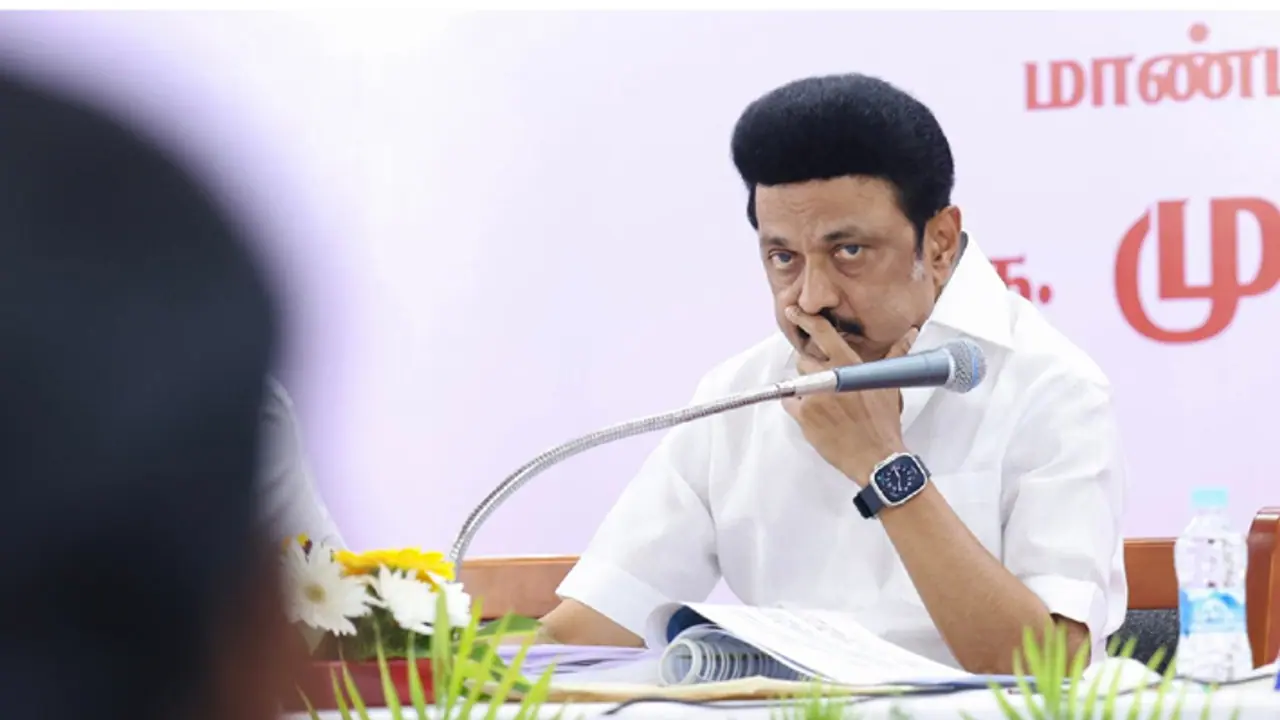 'Long live critics': Tamil Nadu CM MK Stalin claps back at actor politician Vijay's allegations
