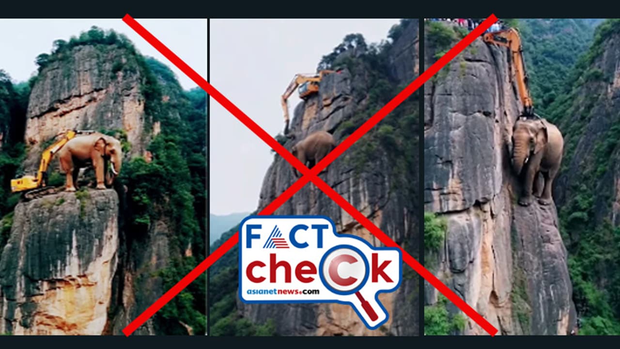 താഴെ വലിയ കൊക്ക, മലപോലുള്ള പാറക്കെട്ടിന് മധ്യേ കുടുങ്ങി ആന; സാഹസിക രക്ഷാപ്രവര്‍ത്തന വീഡിയോ സത്യമോ? Fact Check