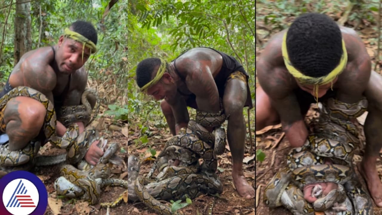 ನಾಲ್ಕು ಹೆಬ್ಬಾವುಗಳೊಂದಿಗೆ ಸರಸವಾಡಲು ಹೋದ ವ್ಯಕ್ತಿ; ಯಾವ ಹಾವಿಗೆ ಆಹಾರವಾದ ಗೊತ್ತಾ?