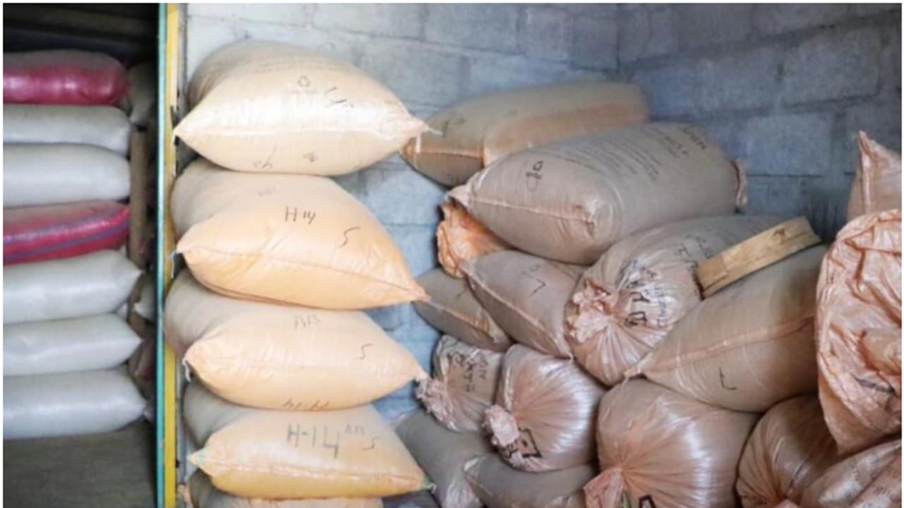 ഫാമിൽ മിന്നൽ റെയ്ഡ്, ഉദ്യോഗസ്ഥരുടെ സംയുക്ത ഇടപെടൽ; പിടികൂടിയത് ലൈസൻസില്ലാതെ സൂക്ഷിച്ച 27 കോടിയുടെ പുകയില