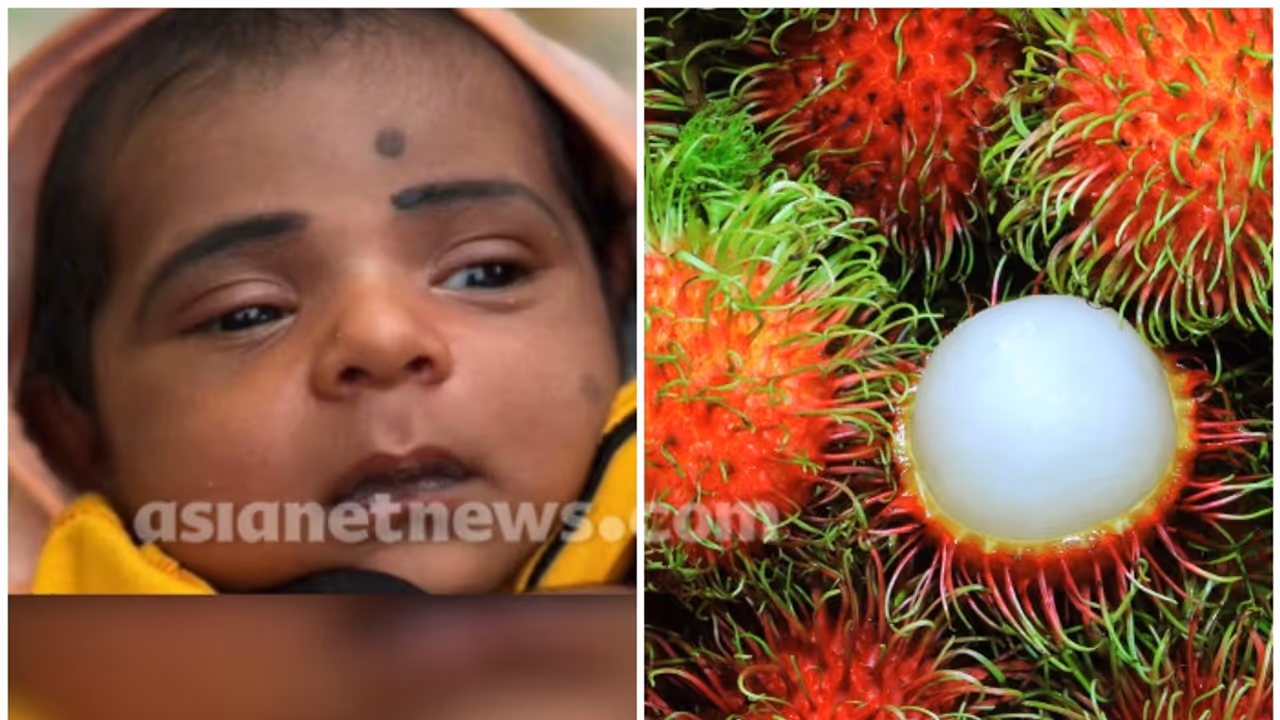 പൂജക്ക് വേണ്ടി വെച്ച റംബൂട്ടാൻ വിഴുങ്ങി, തൊണ്ടയിൽ കുടുങ്ങി; 5 മാസം പ്രായമായ കുട്ടിക്ക് ദാരുണാന്ത്യം പൂജക്ക് വേണ്ടി വെച്ച റംബൂട്ടാൻ വിഴുങ്ങി, തൊണ്ടയിൽ കുടുങ്ങി; 5 മാസം പ്രായമായ കുട്ടിക്ക് ദാരുണാന്ത്യം