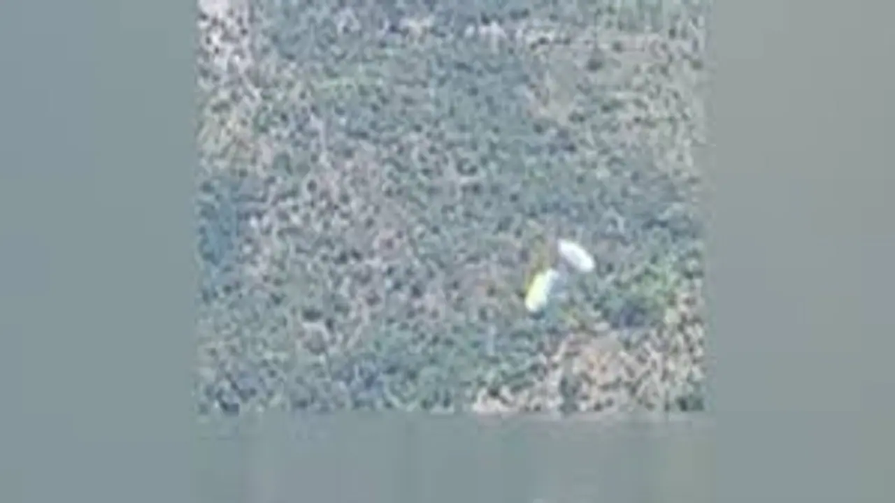 Video captures dramatic rescue of paraglider by SDRF after he falls into Uttarakhand's Tehri Lake (WATCH)