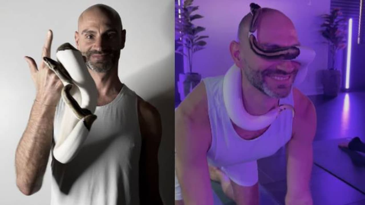 ലേ പാമ്പ്: എന്തൊക്കെയാടാ ഇവിടെ നടക്കുന്നേ? ശരീരത്തിലാകെ ഇഴയുന്ന പാമ്പുകൾ, സ്നേക് യോ​ഗയുമായി സ്റ്റുഡിയോ