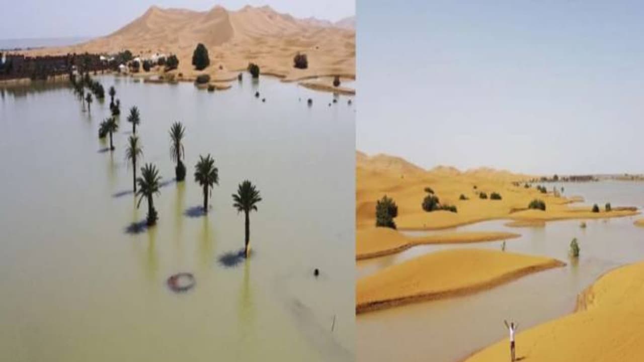 പെരുമഴ, സഹാറ മരുഭൂമിയിലെ തടാകങ്ങളിൽ വെള്ളം, പച്ചപ്പ്, ഇതെന്തിനുള്ള സൂചന? പെരുമഴ, സഹാറ മരുഭൂമിയിലെ തടാകങ്ങളിൽ വെള്ളം, പച്ചപ്പ്, ഇതെന്തിനുള്ള സൂചന?