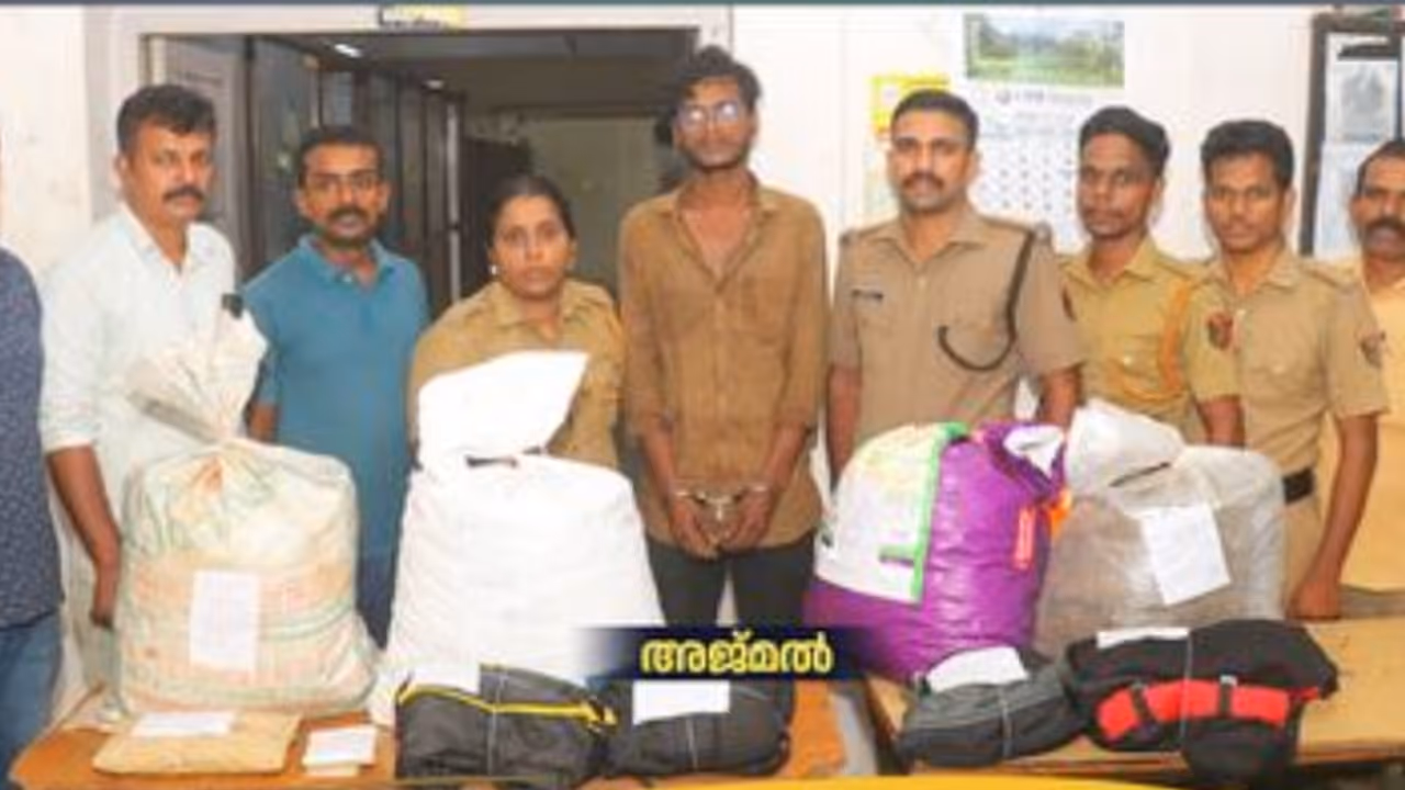 മൺറോ തുരുത്ത് ഭാഗത്ത് പരിശോധന, ഒരാൾ പിടിയിലായി; ഇയാളുടെ കൈയിൽ ഉണ്ടായിരുന്നത് ഒന്നും രണ്ടുമല്ല 31 കിലോ കഞ്ചാവ് മൺറോ തുരുത്ത് ഭാഗത്ത് പരിശോധന, ഒരാൾ പിടിയിലായി; ഇയാളുടെ കൈയിൽ ഉണ്ടായിരുന്നത് ഒന്നും രണ്ടുമല്ല 31 കിലോ കഞ്ചാവ്