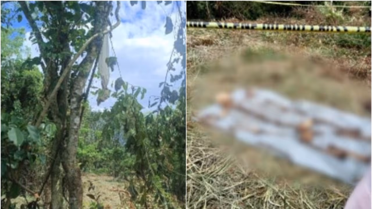 അസ്ഥികൂടം കണ്ടെത്തിയ സംഭവത്തിൽ ദുരൂഹത നീക്കാൻ പൊലീസ്; അടുത്ത് തന്നെ തുണിയും മുടിയിഴകളും തുണിക്കഷ്ണങ്ങളും