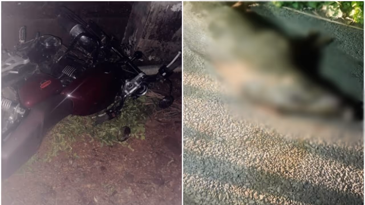 ബൈക്കിൽ യാത്ര ചെയ്യവെ കാട്ടുപന്നി ഇടിച്ചുവീഴ്ത്തി; യുവാവിന് ഗുരുതര പരിക്ക് ബൈക്കിൽ യാത്ര ചെയ്യവെ കാട്ടുപന്നി ഇടിച്ചുവീഴ്ത്തി; യുവാവിന് ഗുരുതര പരിക്ക്