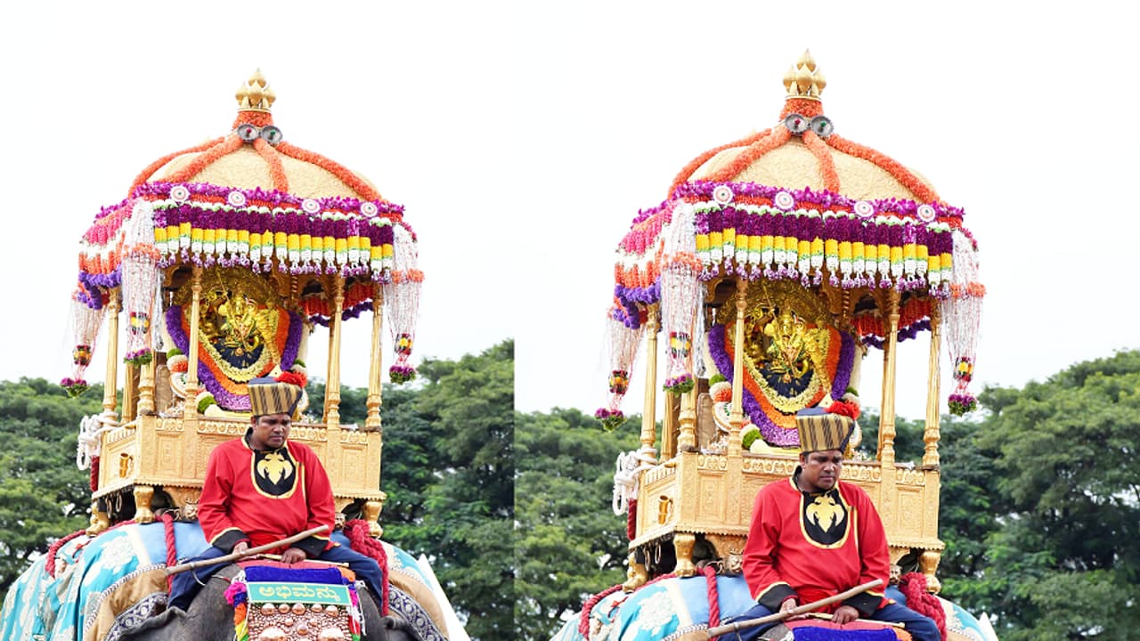 ಅಭಿಮನ್ಯು ಮೇಲೆ ಸೊಗಸಾಗಿ ಅಂಬಾರಿ ಕಟ್ಟಿದರು: ಆನೆ ಮೇಲೆ ಅಂಬಾರಿ ಕಟ್ಟುವುದೇ ಕಲೆಗಾರಿಕೆ ಅಭಿಮನ್ಯು ಮೇಲೆ ಸೊಗಸಾಗಿ ಅಂಬಾರಿ ಕಟ್ಟಿದರು: ಆನೆ ಮೇಲೆ ಅಂಬಾರಿ ಕಟ್ಟುವುದೇ ಕಲೆಗಾರಿಕೆ