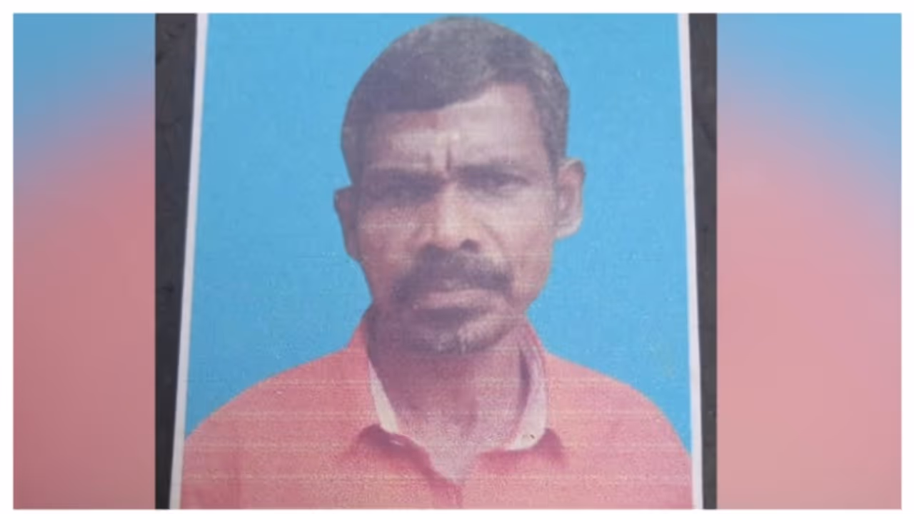 തോട്ടികെട്ടി പ്ലാവില വലിച്ച് താഴെയിടുന്നതിനിടെ വൈദ്യുതി കമ്പിയിൽ നിന്നും ഷോക്കേറ്റു; വയോധികന് ദാരുണാന്ത്യം