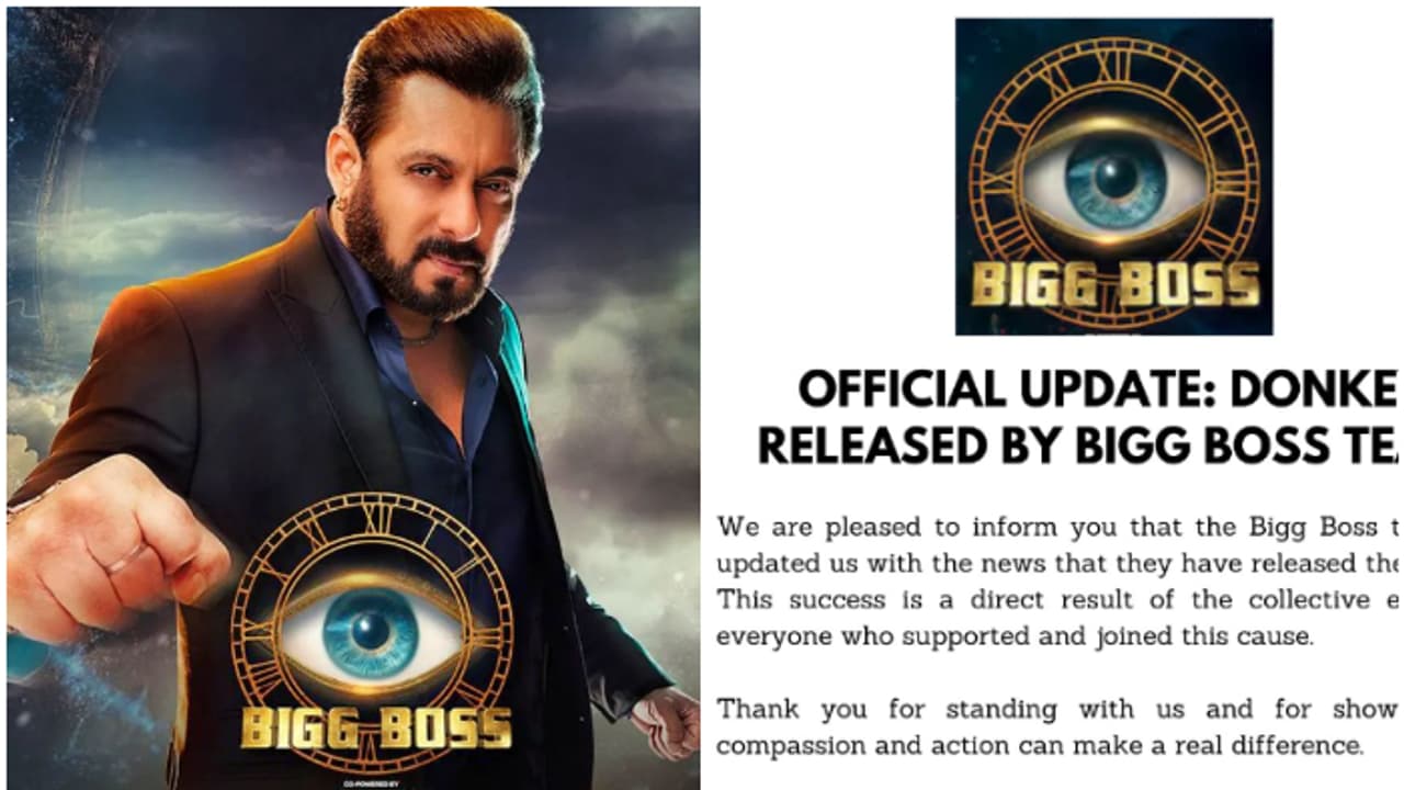 Bigg Boss 18: Gadharaj aka Donkey Max removed from show after pressure from PETA, PFA Bigg Boss 18: Gadharaj aka Donkey Max removed from show after pressure from PETA, PFA