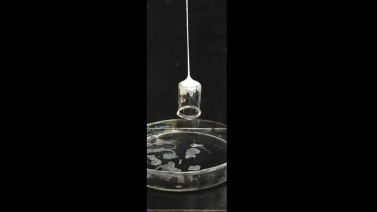 സ്പൈഡര്‍ മാന്‍ പ്രചോദനം; ഞൊടിയിടയില്‍ 'വലയാകുന്ന' പശ വികസിപ്പിച്ചു, വസ്‌തുക്കളെ വലിച്ചുയര്‍ത്തും