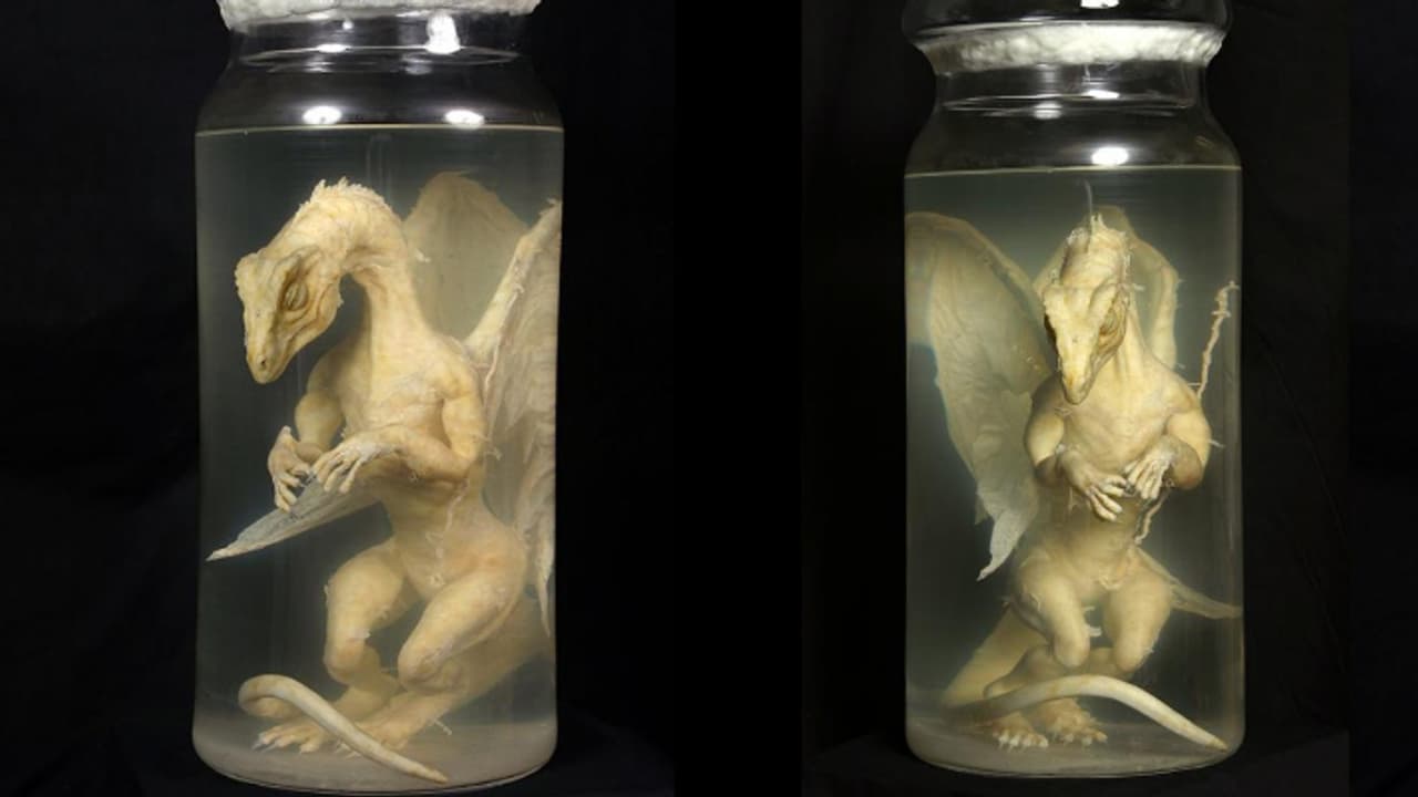 'കുപ്പിയിലടച്ച കുഞ്ഞ് ഡ്രാഗൺ', പ്രദർശനത്തിന്; എല്ലാം നോവലിന് വേണ്ടിയുള്ള തട്ടിപ്പായിരുന്നെന്ന് എഴുത്തുകാരന് 'കുപ്പിയിലടച്ച കുഞ്ഞ് ഡ്രാഗൺ', പ്രദർശനത്തിന്; എല്ലാം നോവലിന് വേണ്ടിയുള്ള തട്ടിപ്പായിരുന്നെന്ന് എഴുത്തുകാരന്