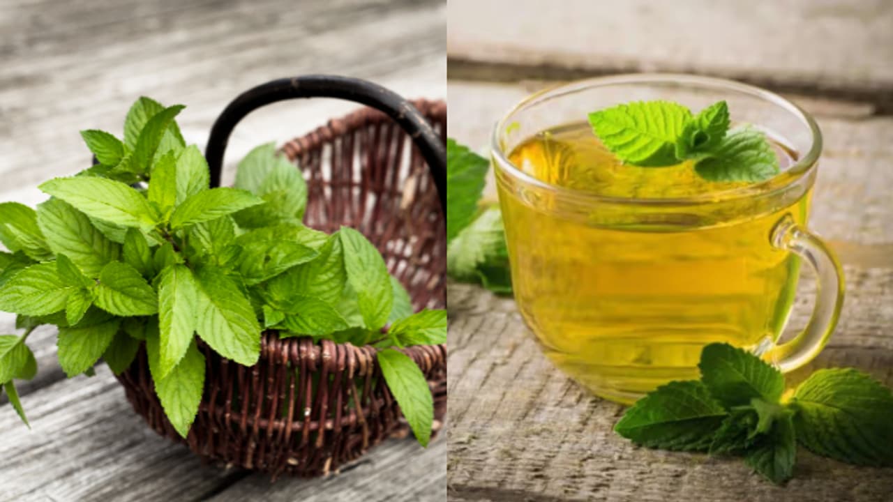 ഡയറ്റില്‍ പുതിനയില ഉൾപ്പെടുത്തൂ; അറിയാം ഗുണങ്ങള്‍ 