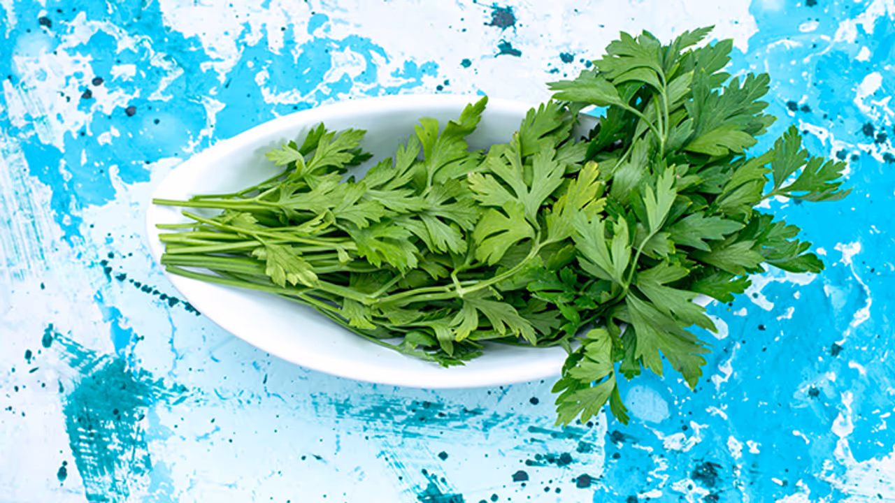 how to clean coriander