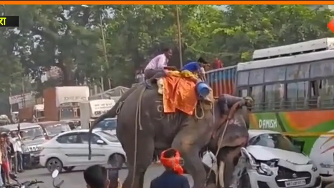 Bihar: Elephant goes on rampage, flips & batters car, bus as crowd watches in panic; WATCH viral video