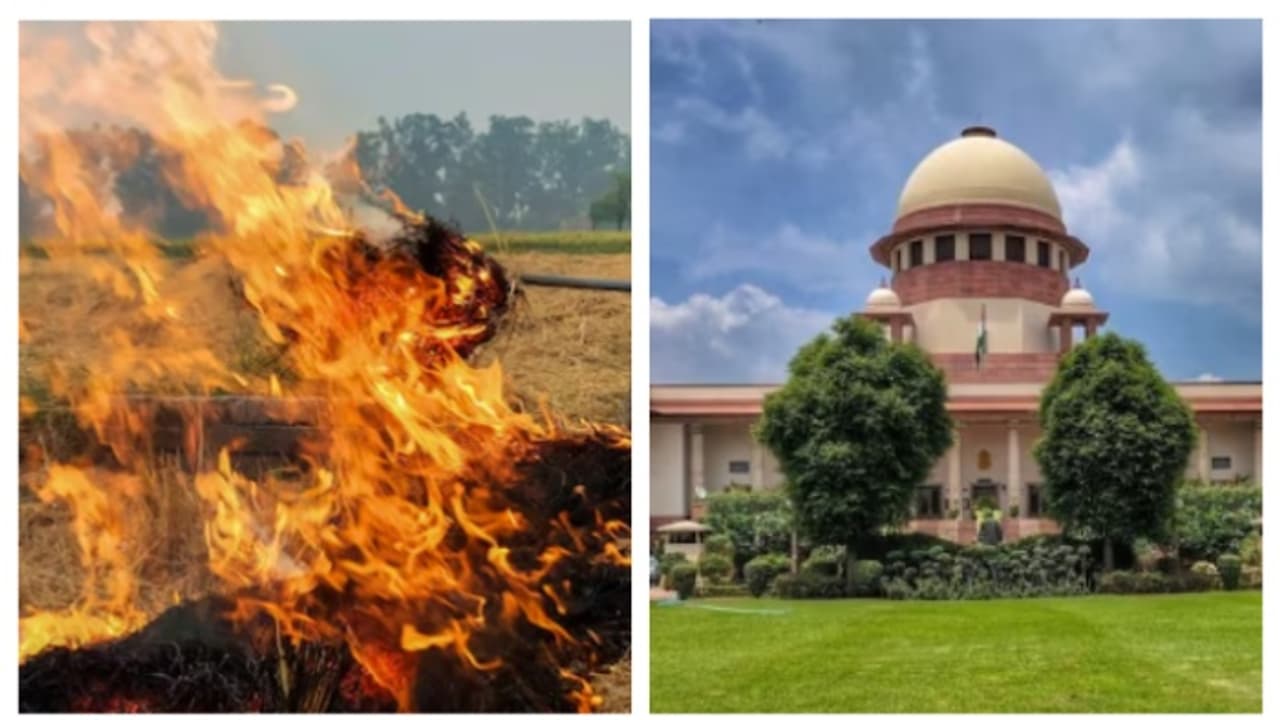 ദില്ലി വായുമലിനീകരണം: വൈക്കോൽ കത്തിക്കൽ തടയാത്തതിൽ സർക്കാരുകളെ വിമർശിച്ച് സുപ്രീം കോടതി ദില്ലി വായുമലിനീകരണം: വൈക്കോൽ കത്തിക്കൽ തടയാത്തതിൽ സർക്കാരുകളെ വിമർശിച്ച് സുപ്രീം കോടതി