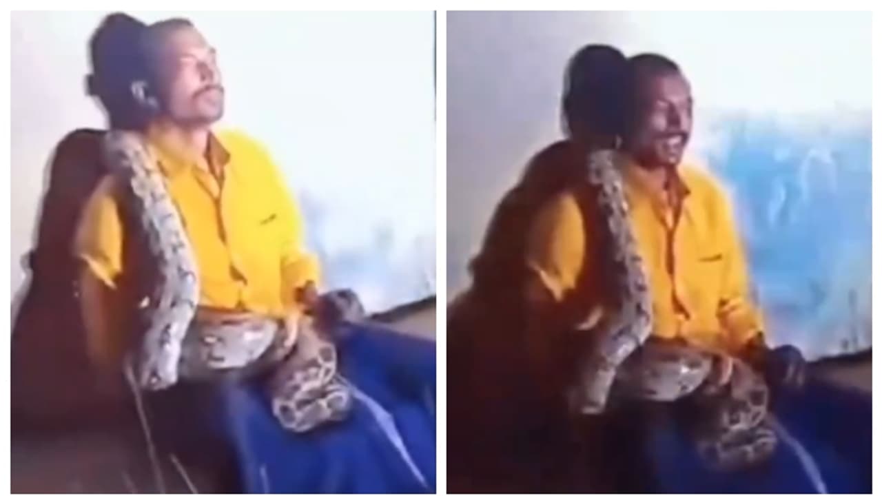 'അടിച്ച് പൂസായപ്പോൾ വന്ന് ചുറ്റിയത് പെരുമ്പാമ്പ്, അതെങ്കില്‍ അത്, പോരട്ടേന്ന്...'; യുവാവിന്‍റെ വീഡിയോ വൈറൽ