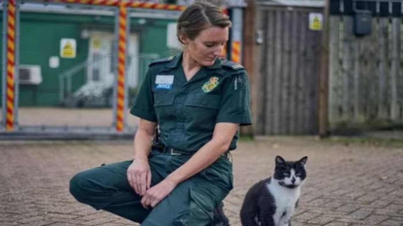 16 കൊല്ലമായി ആംബുലൻസ് സ്റ്റേഷനിലെ അന്തേവാസി, വയസുകാലത്ത് പൂച്ചയെ മാറ്റരുത് എന്ന് ആവശ്യപ്പെട്ട് പെറ്റീഷൻ