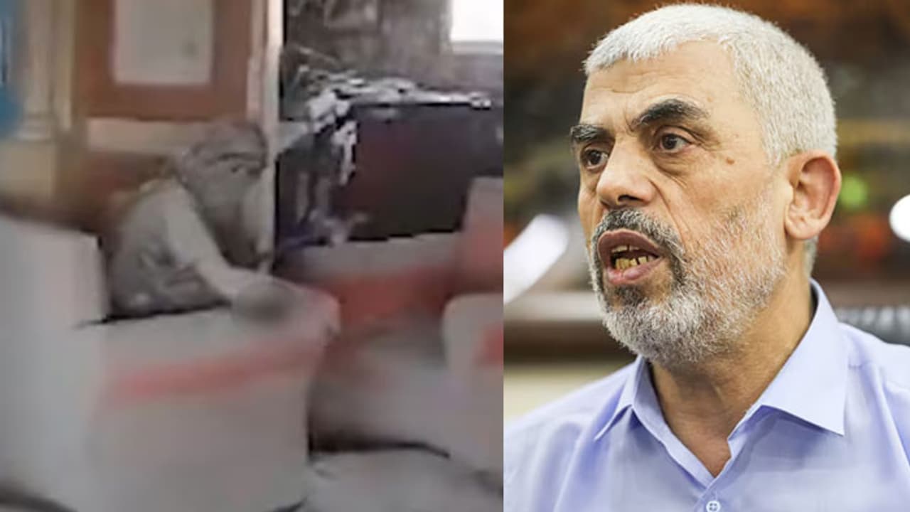 'തലയിൽ വെടിയേറ്റു, കൈ തകർന്നു', ഹമാസ് തലവന്റെ മരണകാരണം വ്യക്തമാക്കി പോസ്റ്റുമോർട്ടം റിപ്പോർട്ട് 'തലയിൽ വെടിയേറ്റു, കൈ തകർന്നു', ഹമാസ് തലവന്റെ മരണകാരണം വ്യക്തമാക്കി പോസ്റ്റുമോർട്ടം റിപ്പോർട്ട്