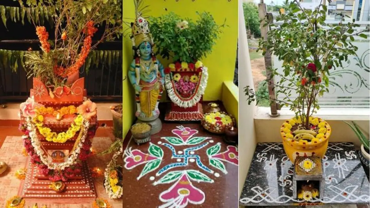 kartik maas 2024 tulsi vastu upay for prosperity and money