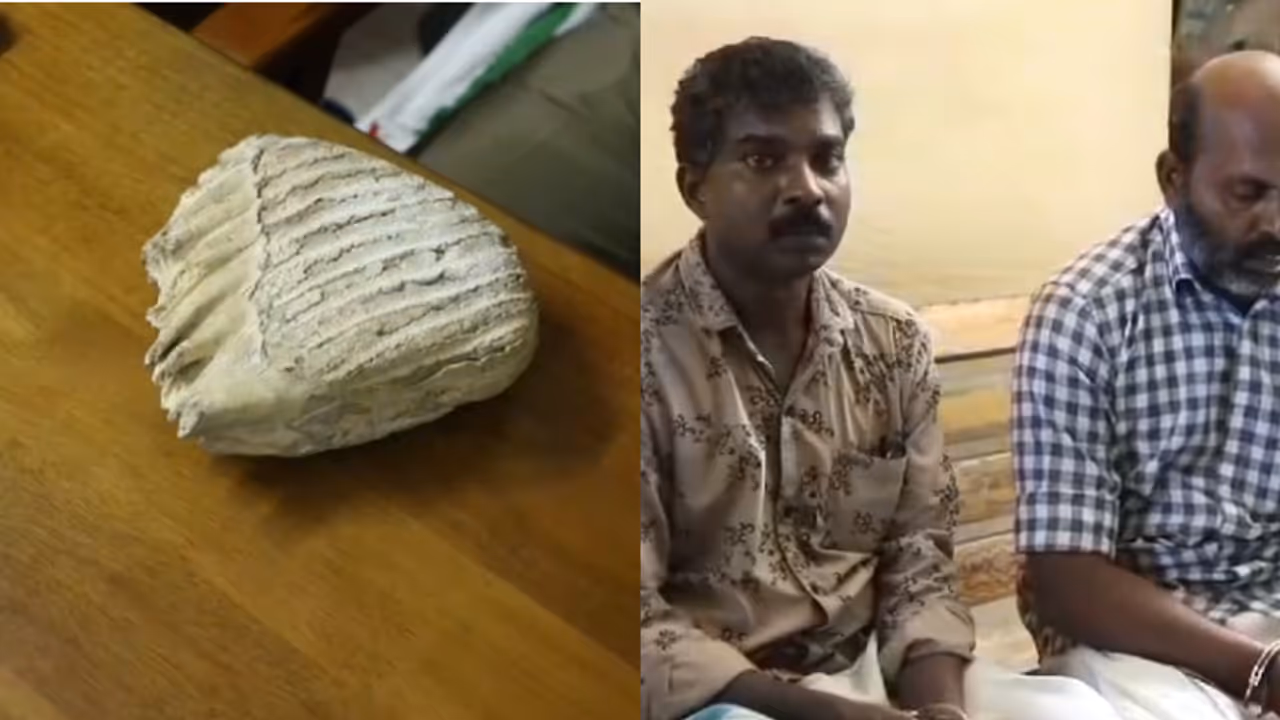 ഇങ്ങനെയൊന്നും ഒരിക്കലും പ്രതീക്ഷിച്ചില്ല, കാറിൽനിന്ന് കിട്ടിയത് അപ്രതീക്ഷിത വസ്തു, വില ലക്ഷങ്ങൾ, 2 പേർ പിടിയിൽ ഇങ്ങനെയൊന്നും ഒരിക്കലും പ്രതീക്ഷിച്ചില്ല, കാറിൽനിന്ന് കിട്ടിയത് അപ്രതീക്ഷിത വസ്തു, വില ലക്ഷങ്ങൾ, 2 പേർ പിടിയിൽ