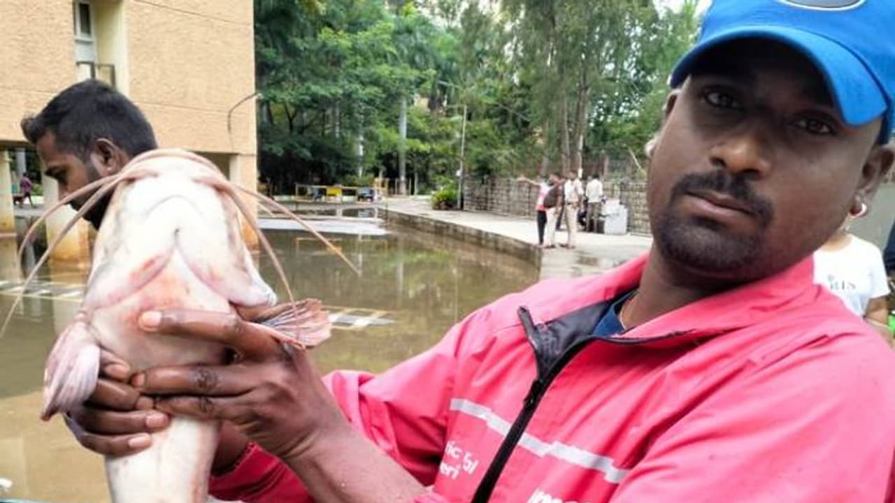 കനത്ത മഴ, പുറത്തിറങ്ങാനാവാതെ ജനങ്ങള്‍, ഹൗസിം​ഗ് കോംപ്ലക്സിൽ മീൻ, ചിത്രം സോഷ്യൽ മീഡിയയിൽ വൈറൽ