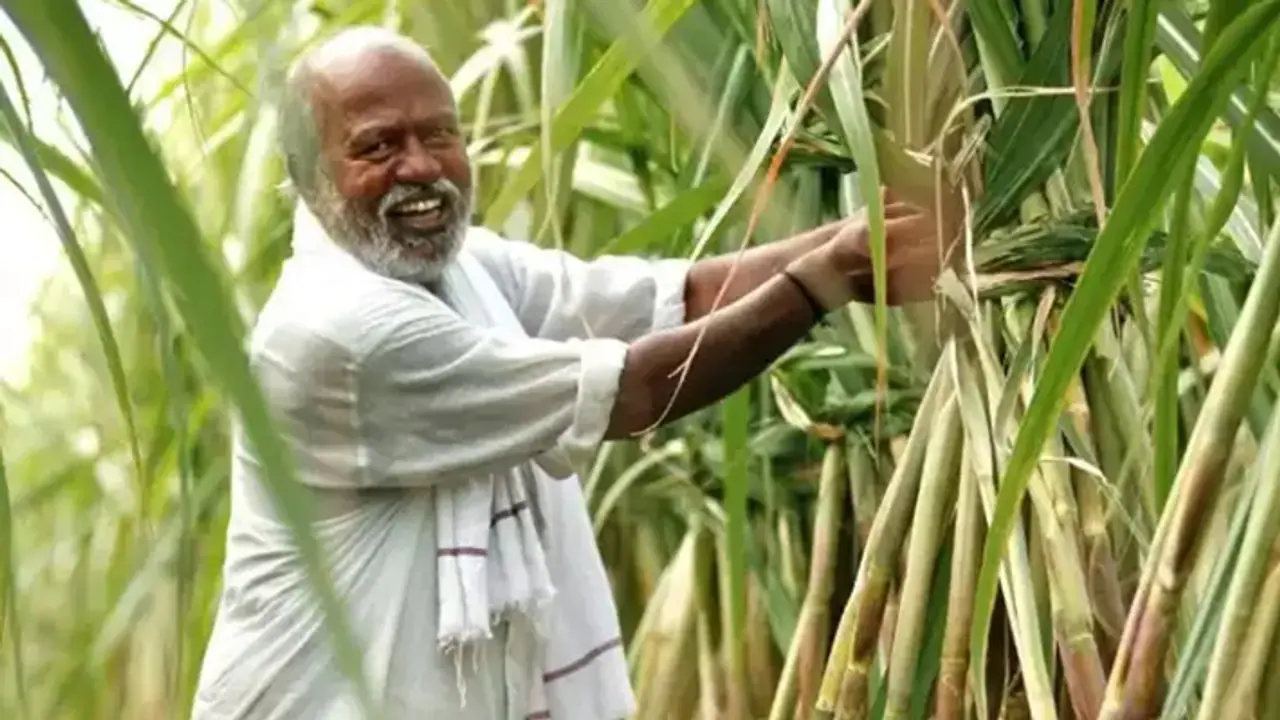 கரும்பு விவசாயிகளுக்கு ஜாக்பாட்! வேளாண் பட்ஜெட்டில் ஊக்கத்தொகை அறிவிப்பு!