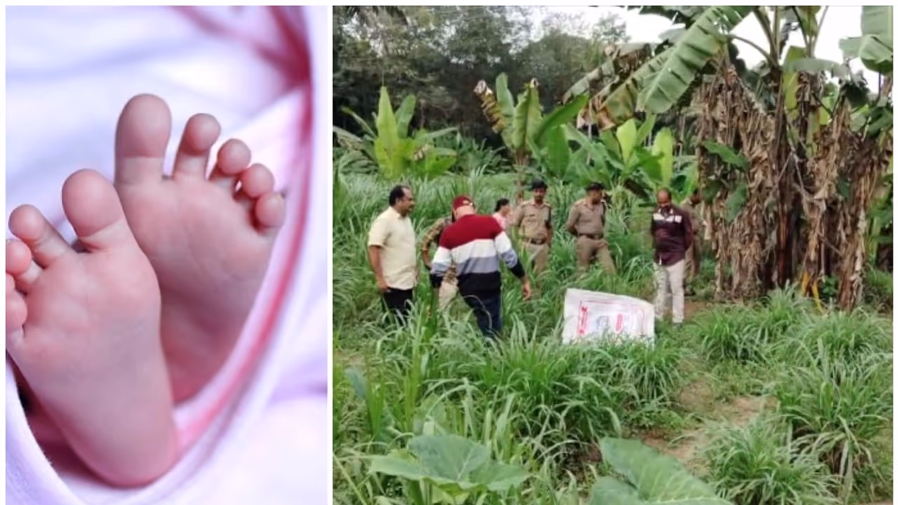 നവജാത ശിശുവിന്റെ മൃതദേഹം കുഴിച്ചിട്ട നിലയിൽ; പുറത്തറിഞ്ഞത് യുവതി അമിത രക്തസ്രാവത്തിന് ചികിത്സക്കെത്തിയപ്പോൾ നവജാത ശിശുവിന്റെ മൃതദേഹം കുഴിച്ചിട്ട നിലയിൽ; പുറത്തറിഞ്ഞത് യുവതി അമിത രക്തസ്രാവത്തിന് ചികിത്സക്കെത്തിയപ്പോൾ