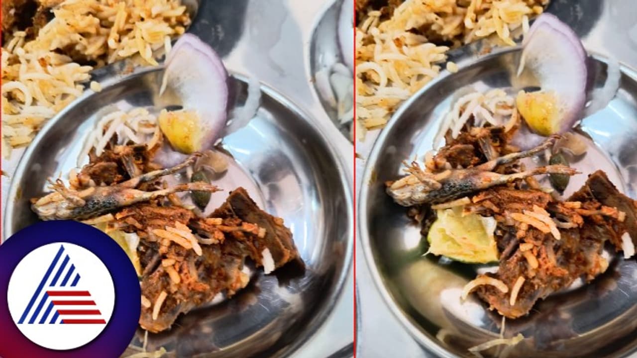 SHOCKING: ಚಿಕನ್ ಬಿರಿಯಾನಿಯಲ್ಲಿ ಸತ್ತ ಕಪ್ಪೆ ಪ್ರತ್ಯಕ್ಷ! ಹೈದರಾಬಾದ್ ಐಐಐಟಿ ವಿದ್ಯಾರ್ಥಿಗಳು ಆಕ್ರೋಶ!