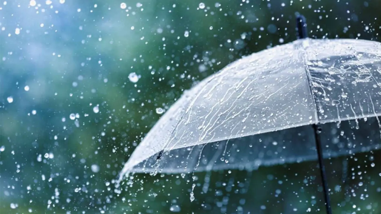 Kerala: IMD predicts heavy rainfall across the state today; Orange alert in 8 districts