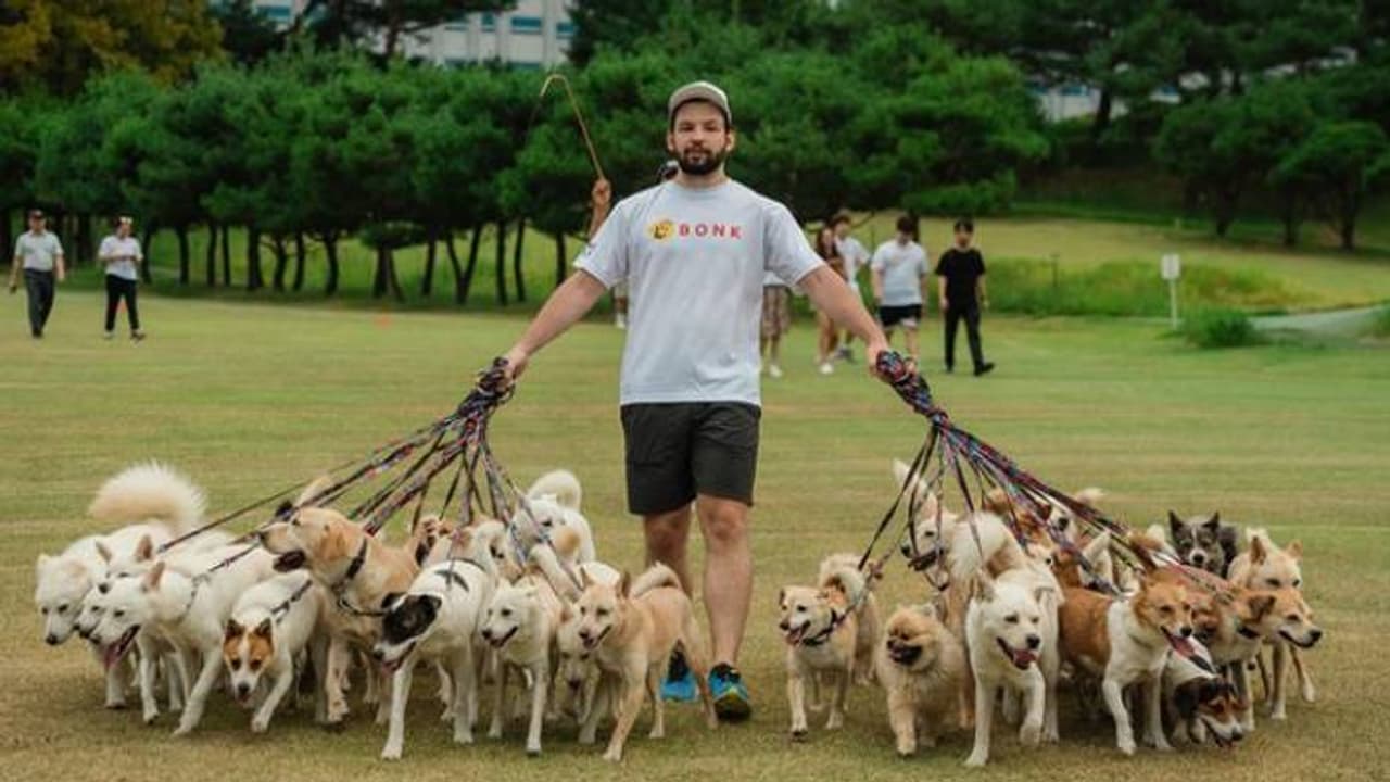 ഒരേസമയം 38 നായകളുമായി നടക്കാനിറങ്ങി യുവാവ്, പിന്നിലുണ്ട് ഇങ്ങനെയൊരു ലക്ഷ്യം