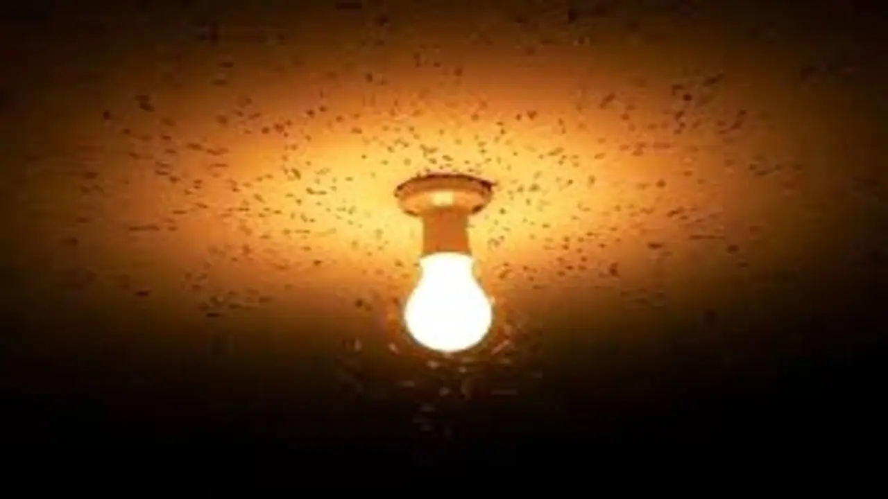 Get Rid Of Insects Around Light Bulbs In Tamil